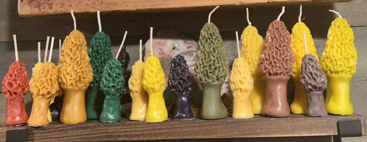 Beeswax Morel Candle (large)